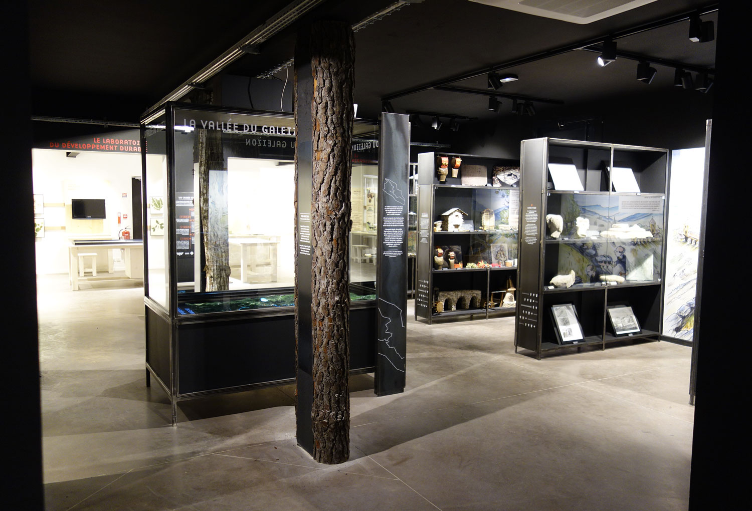 Biosphéra-photographie-2