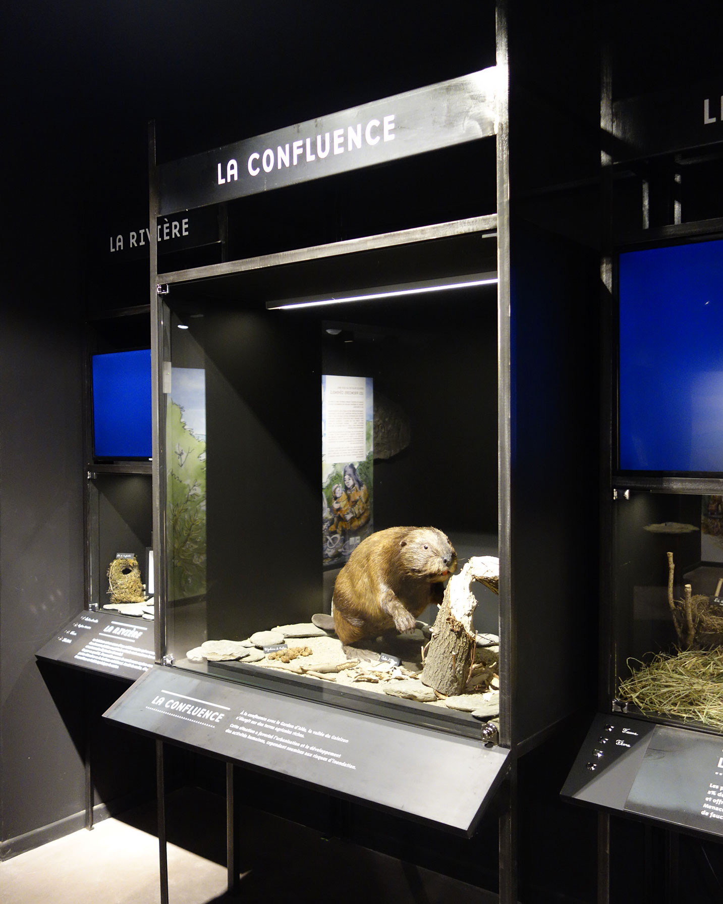 Biosphéra-photographie-4