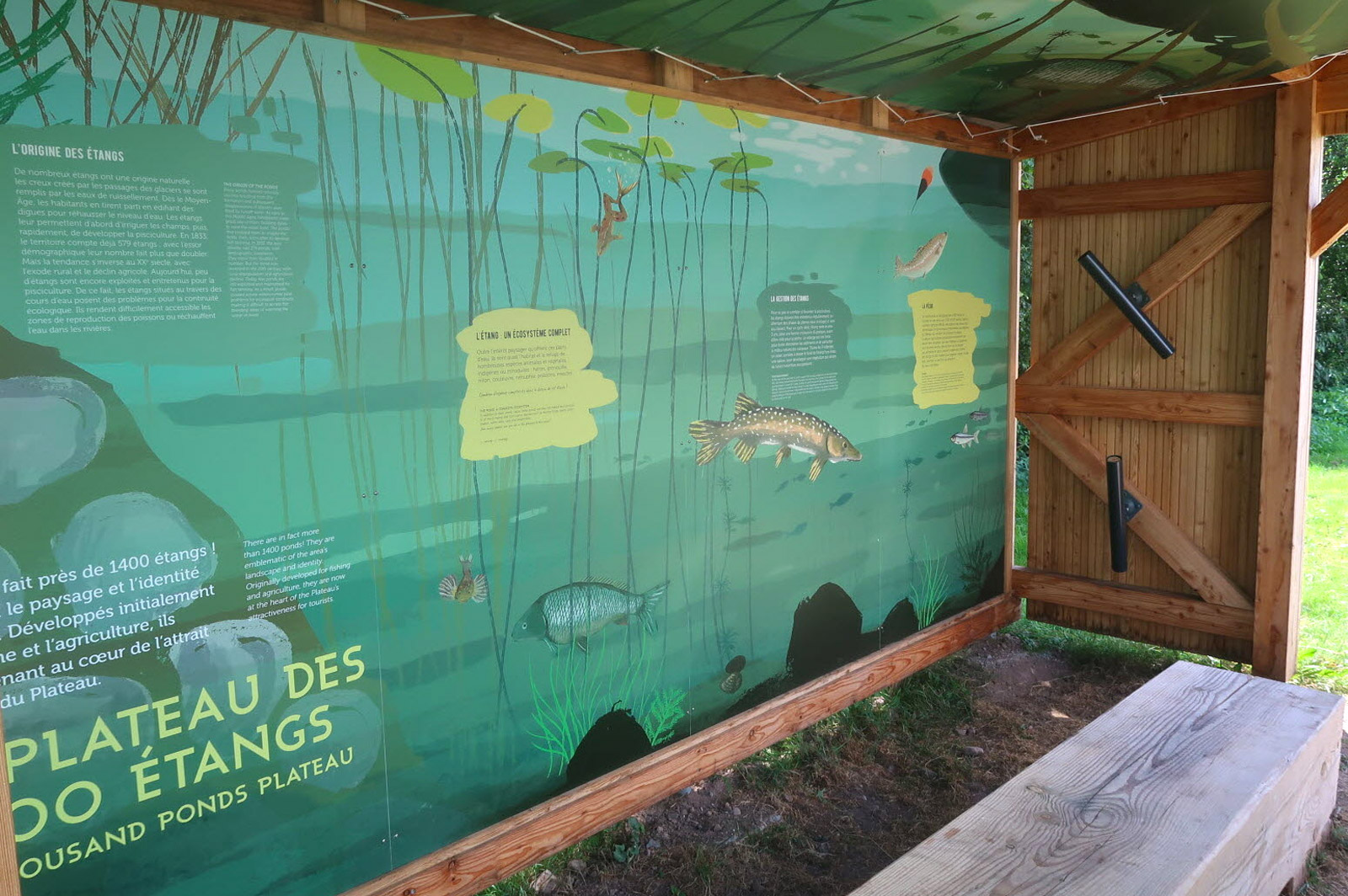 les-1000-étang-photographie-1