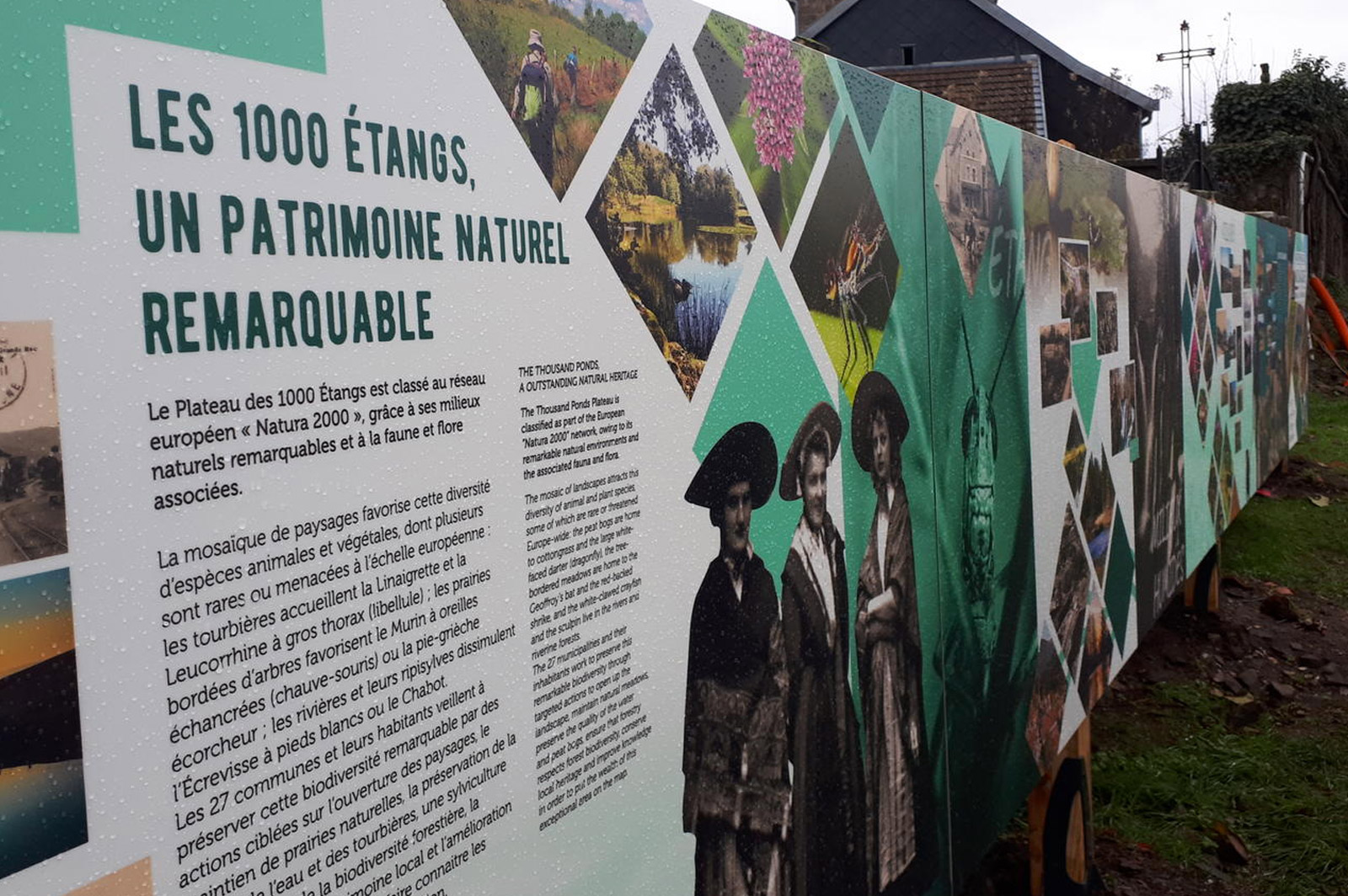 les-1000-étang-photographie-5