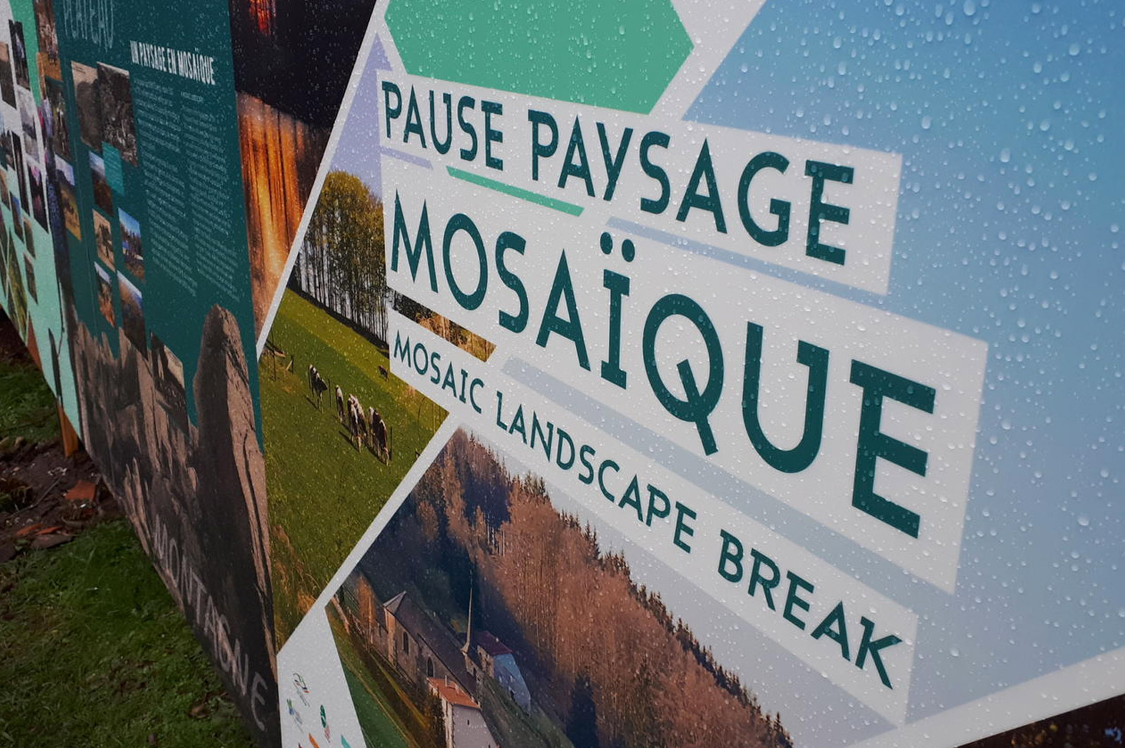 les-1000-étang-photographie-7