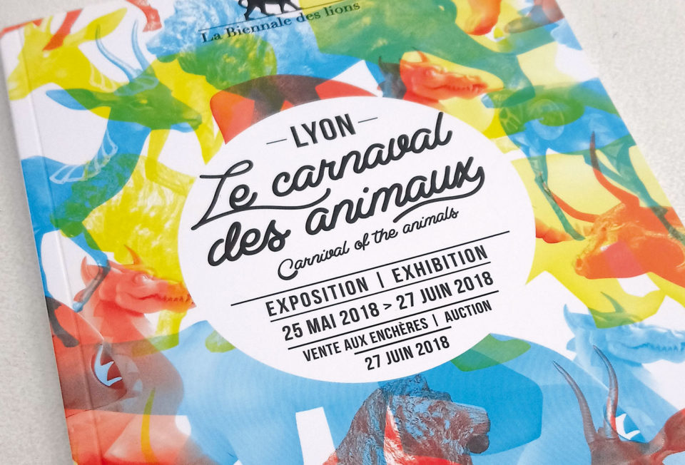 la-biennale-des-lions-photographie