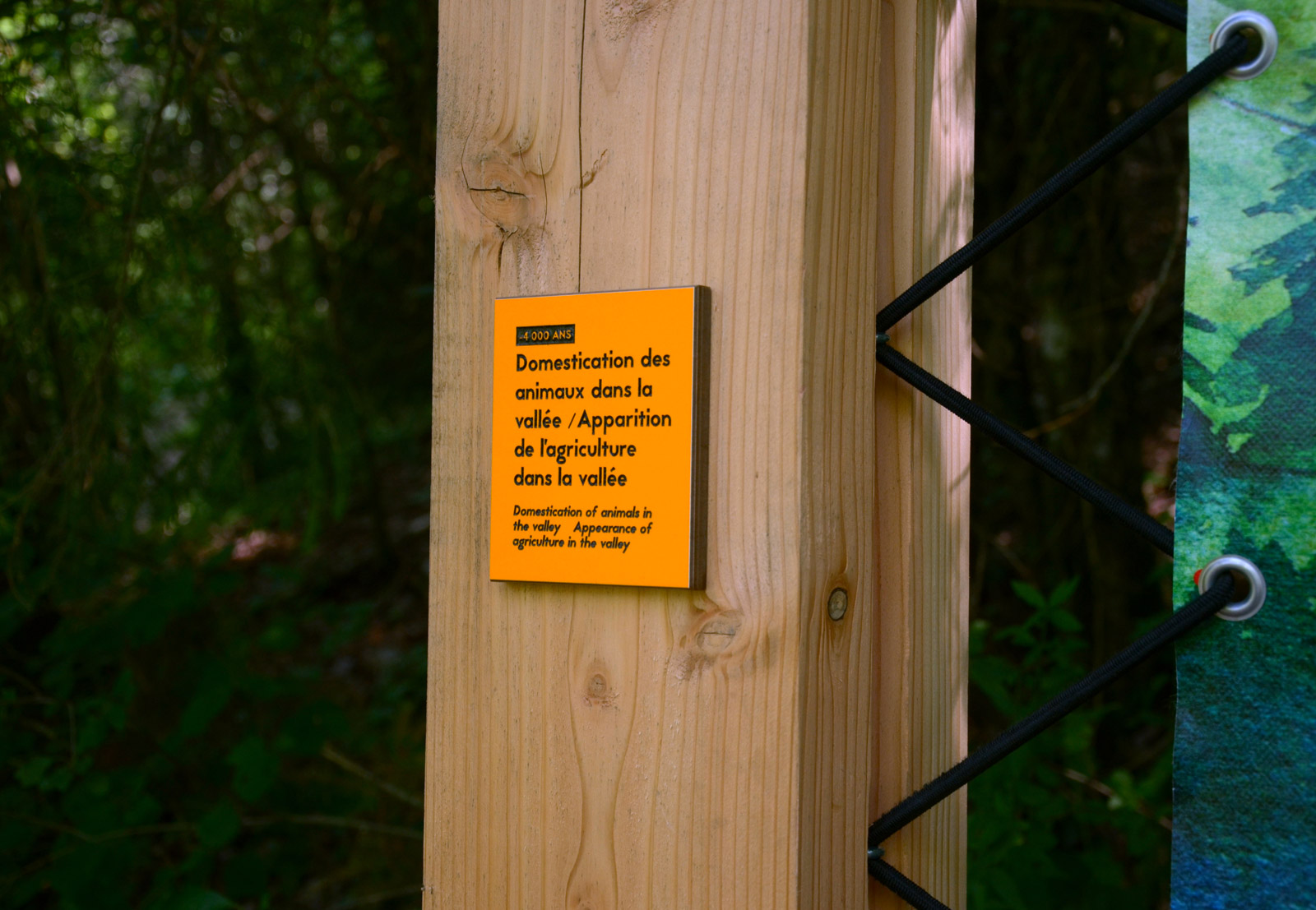 Abri-sous-Roche-photographie-5