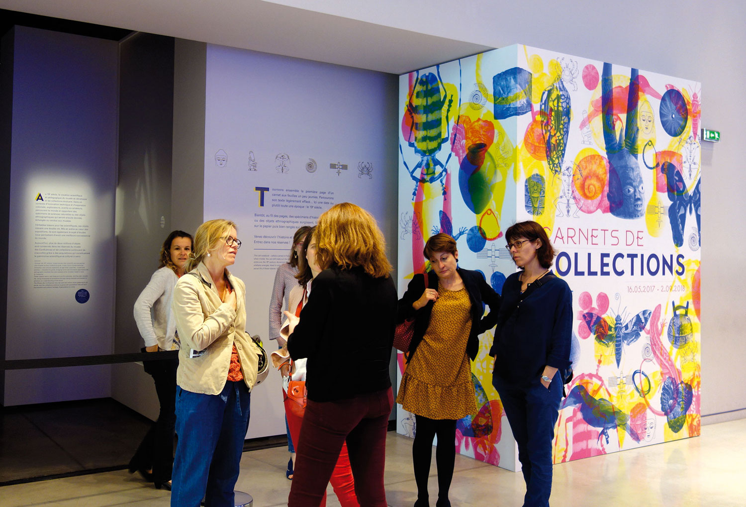 carnet-de-collections-photographie-1