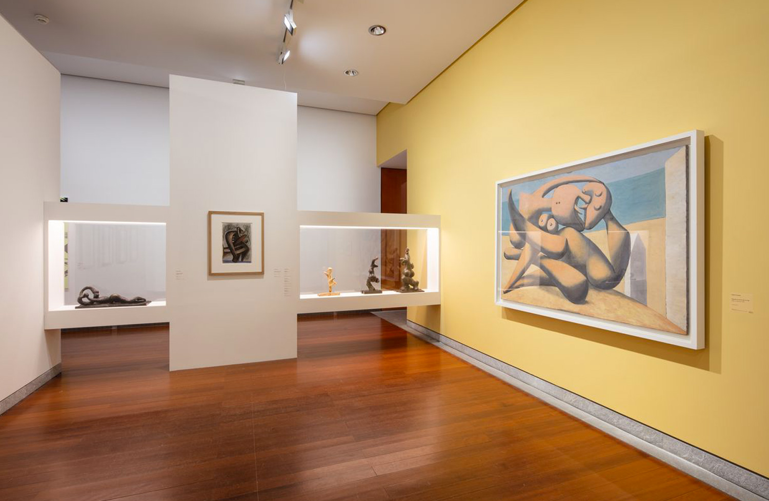 Picasso-photographie-5